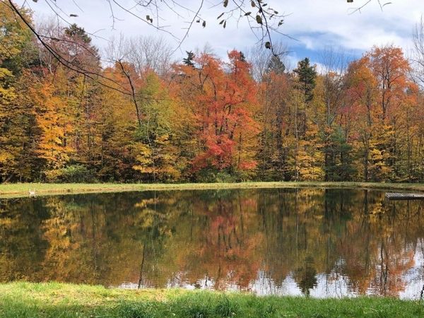 0 Gentian Hollow Rd, Becket, MA 01223