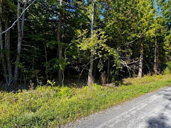 0 Gentian Hollow Rd, Becket, MA 01223