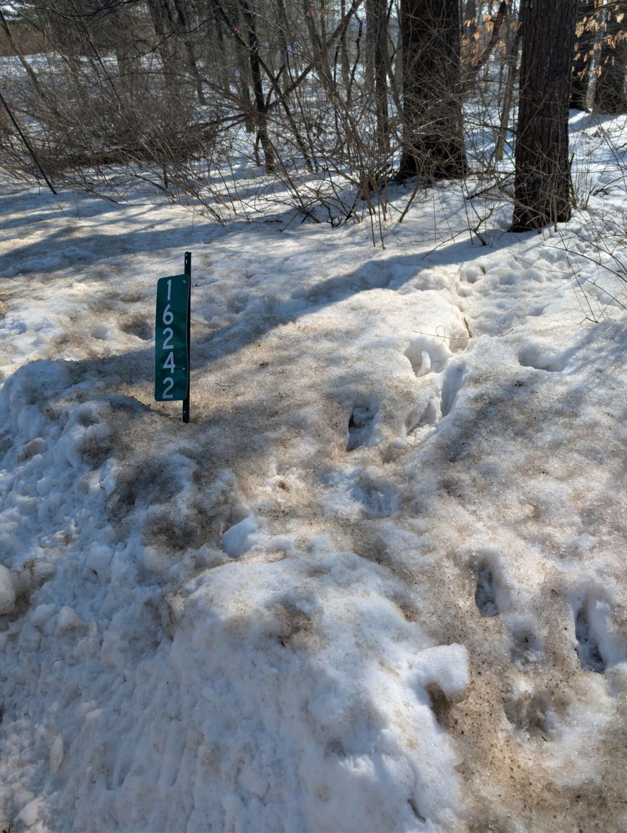 16242 Lake Michigan Drive, West Olive, MI 49460 Main Photo