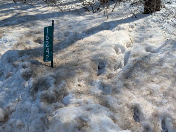 16242 Lake Michigan Drive, West Olive, MI 49460