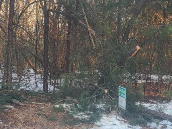 SHILOH CHURCH ROAD, NEWBURG, MD 20664