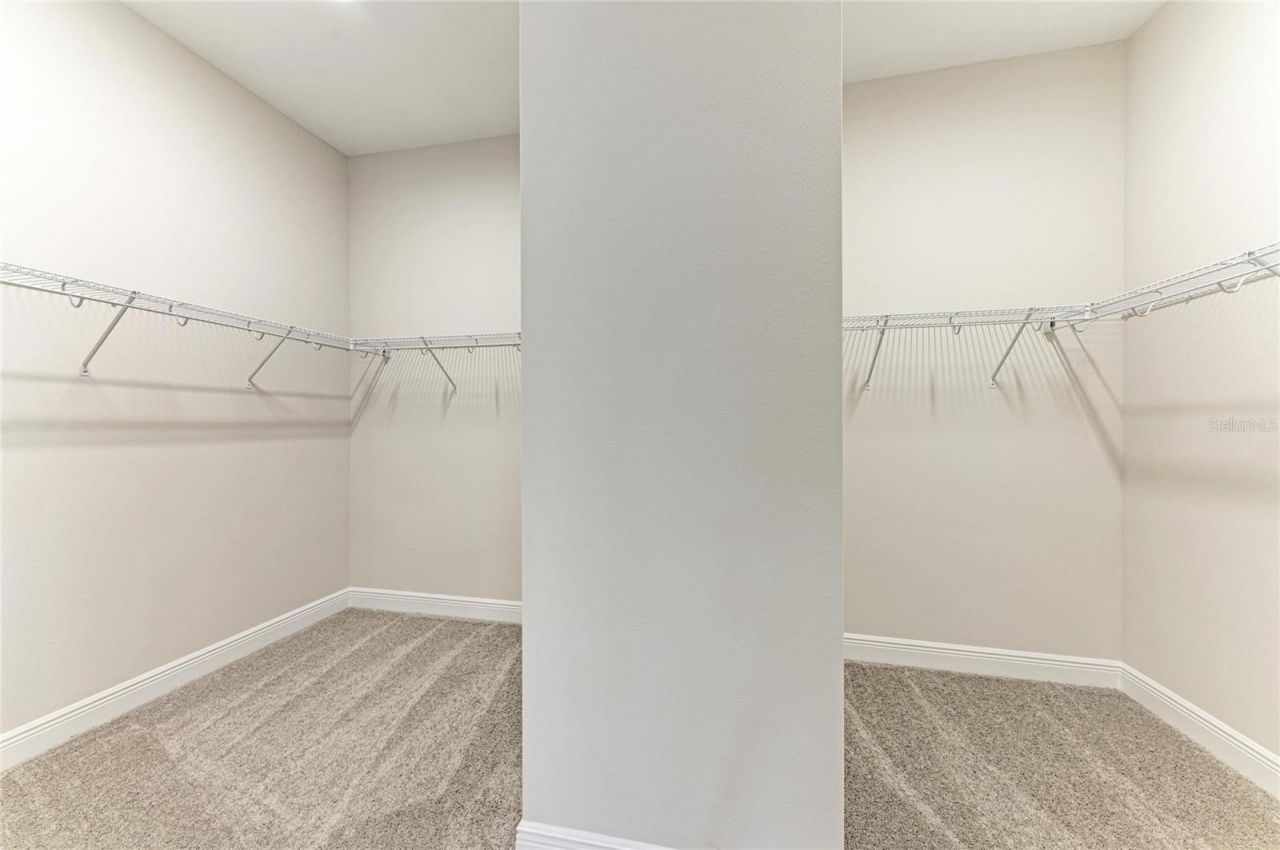 13442 Buffalo Mountain Avenue, Riverview, FL 33579 Photo