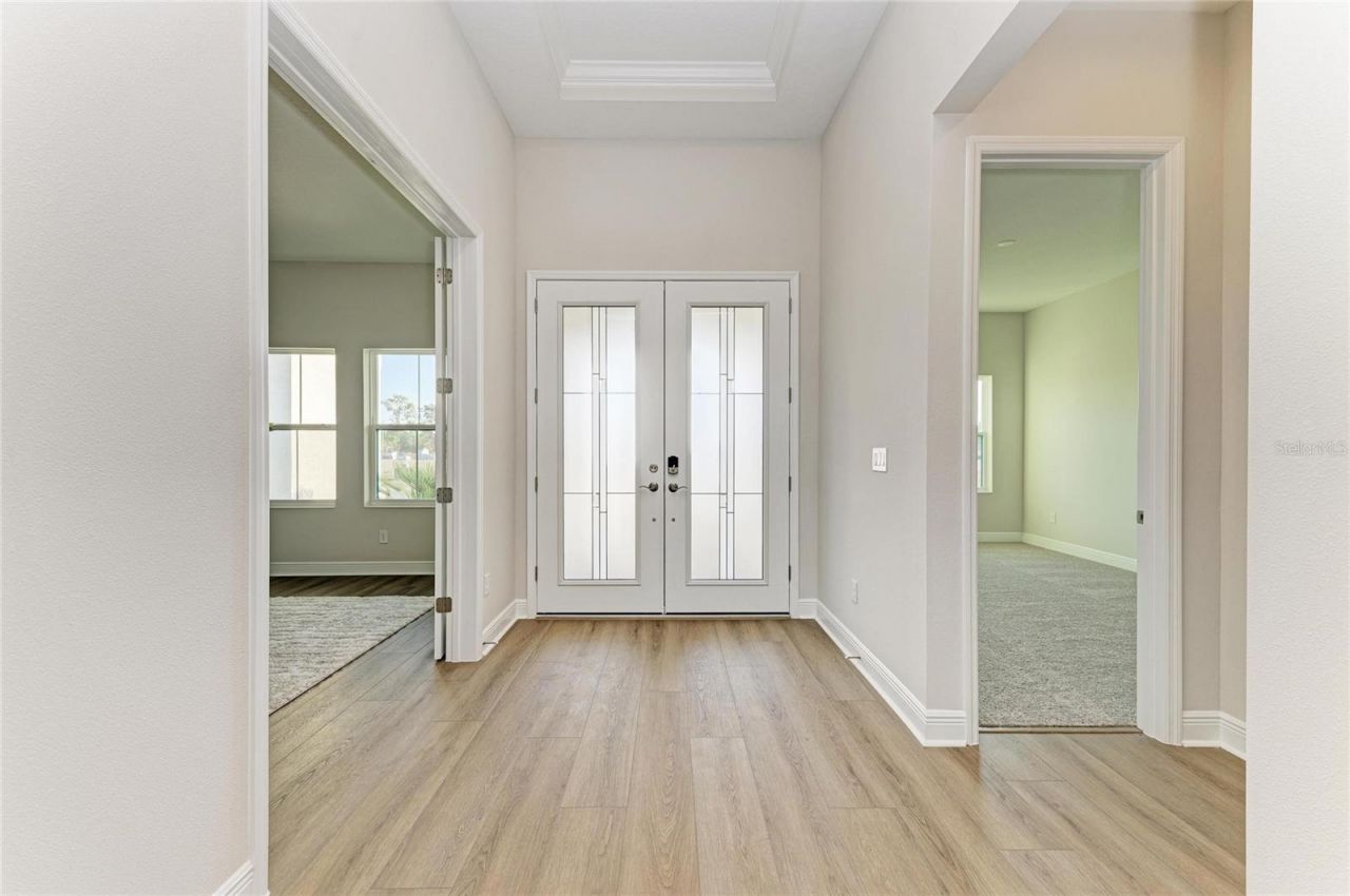 13442 Buffalo Mountain Avenue, Riverview, FL 33579 Photo