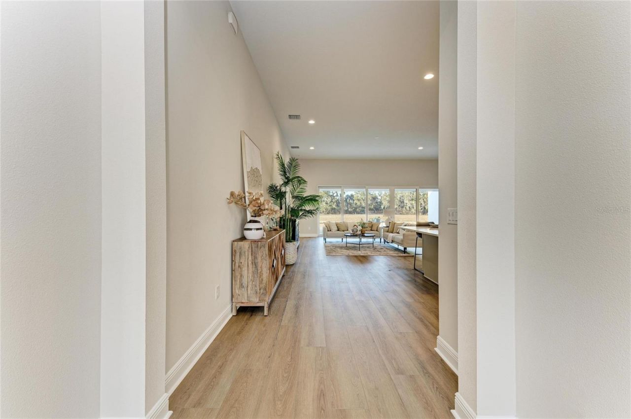 13442 Buffalo Mountain Avenue, Riverview, FL 33579 Photo