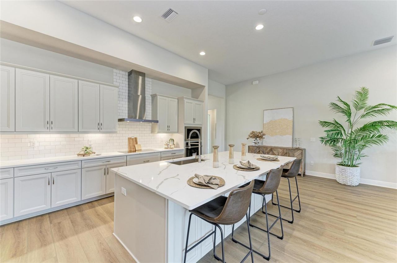 13442 Buffalo Mountain Avenue, Riverview, FL 33579 Photo