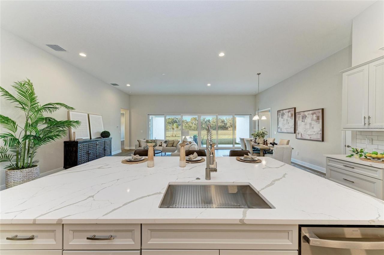 13442 Buffalo Mountain Avenue, Riverview, FL 33579 Photo