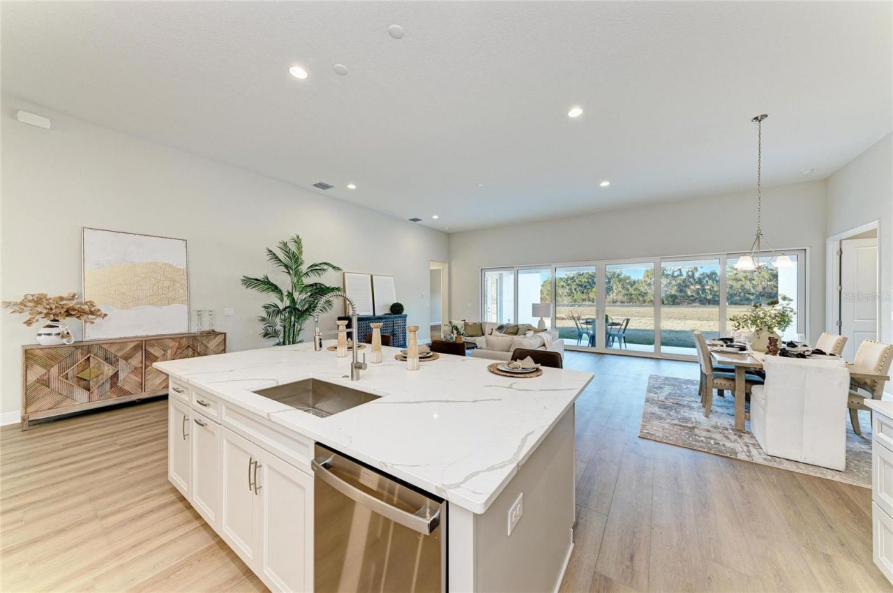 13442 Buffalo Mountain Avenue, Riverview, FL 33579 Photo