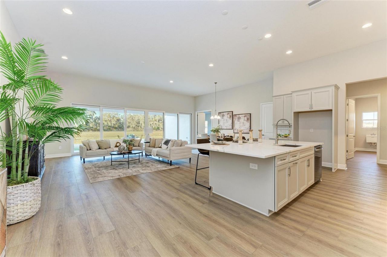 13442 Buffalo Mountain Avenue, Riverview, FL 33579 Photo