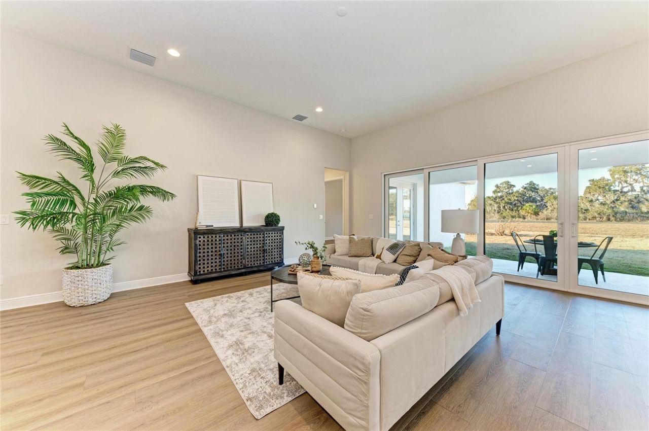 13442 Buffalo Mountain Avenue, Riverview, FL 33579 Photo