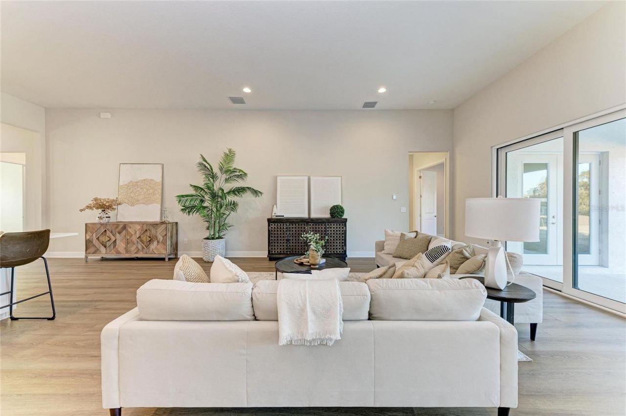 13442 Buffalo Mountain Avenue, Riverview, FL 33579 Photo