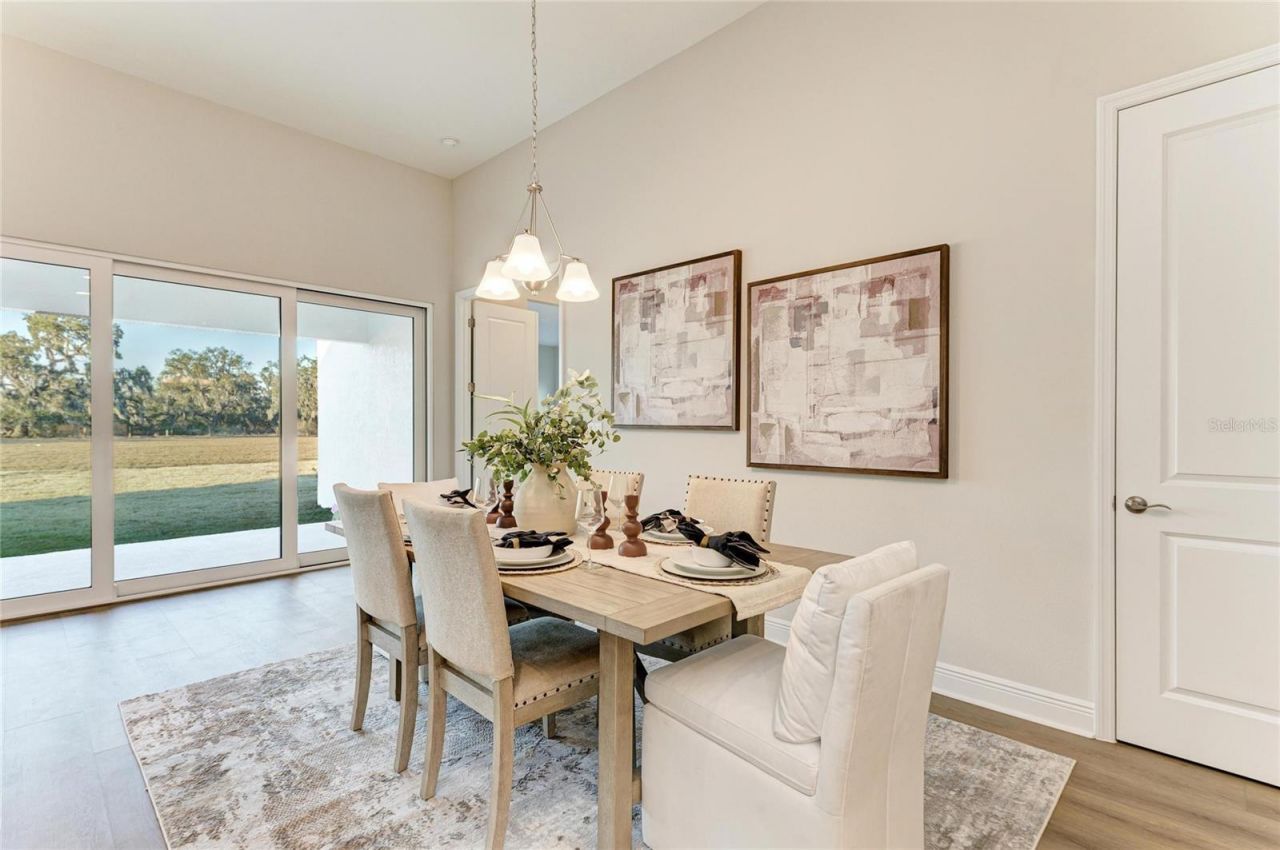 13442 Buffalo Mountain Avenue, Riverview, FL 33579 Photo