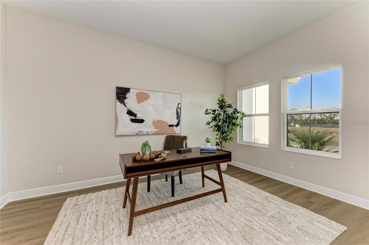 13442 Buffalo Mountain Avenue, Riverview, FL 33579 Photo