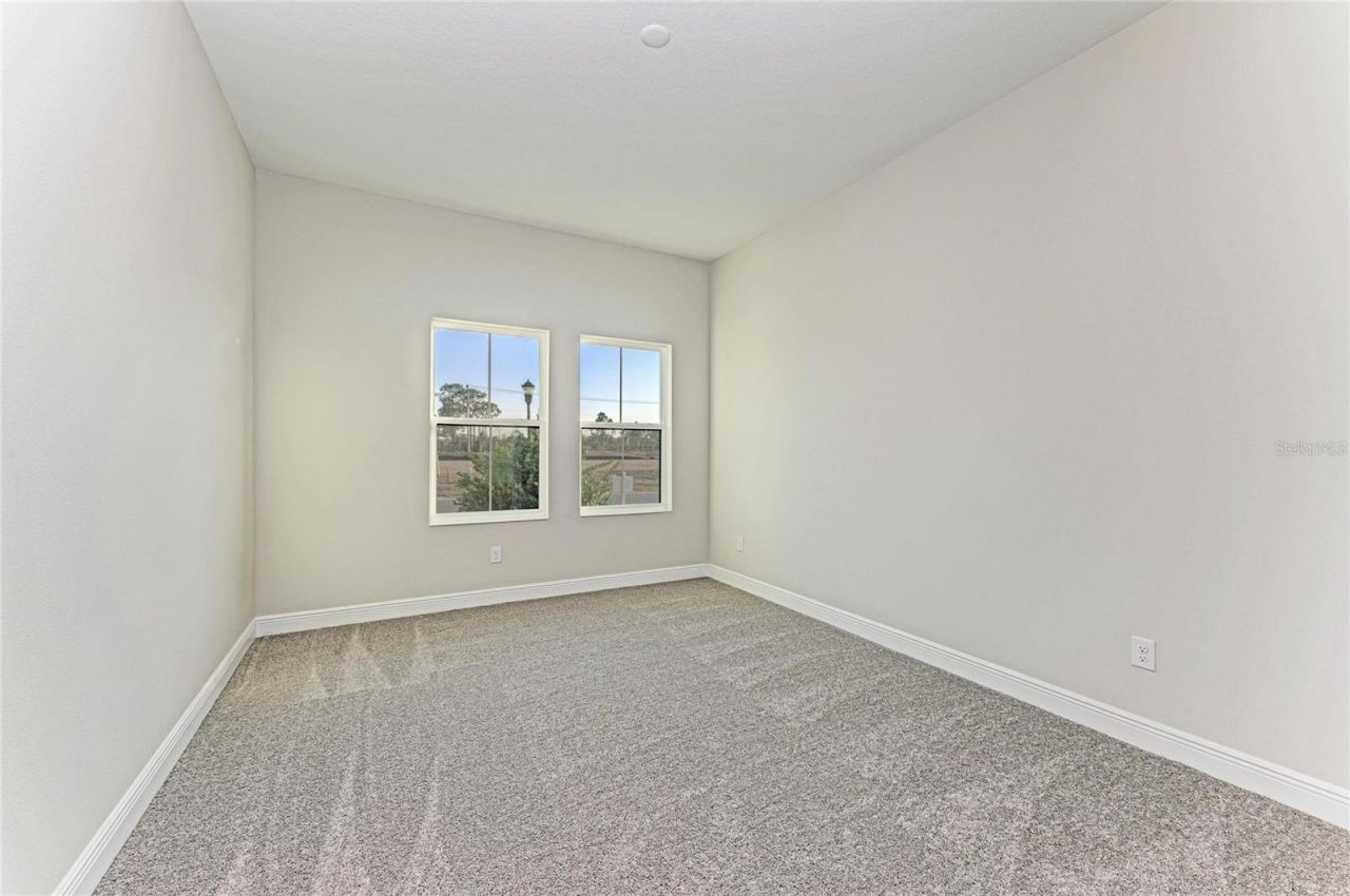 13442 Buffalo Mountain Avenue, Riverview, FL 33579 Photo