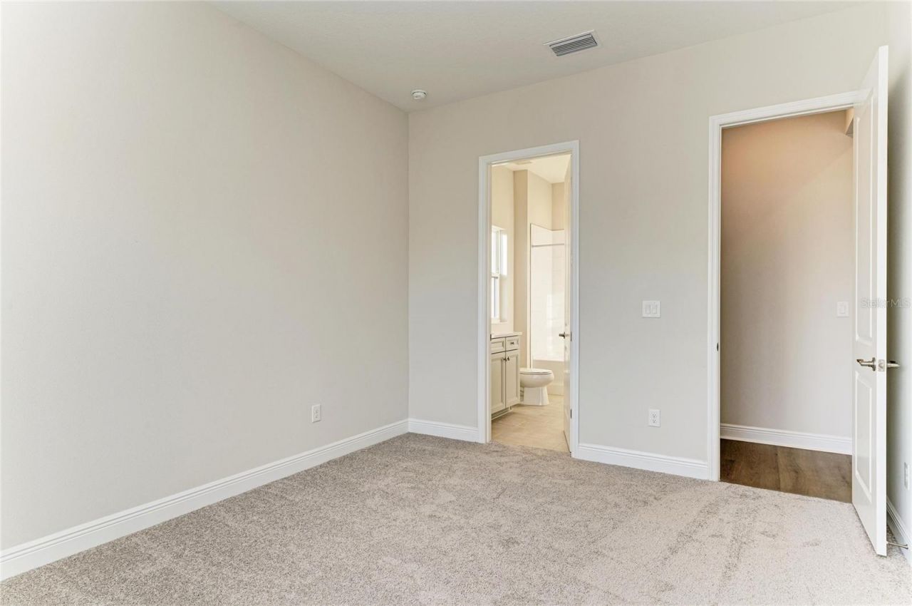 13442 Buffalo Mountain Avenue, Riverview, FL 33579 Photo