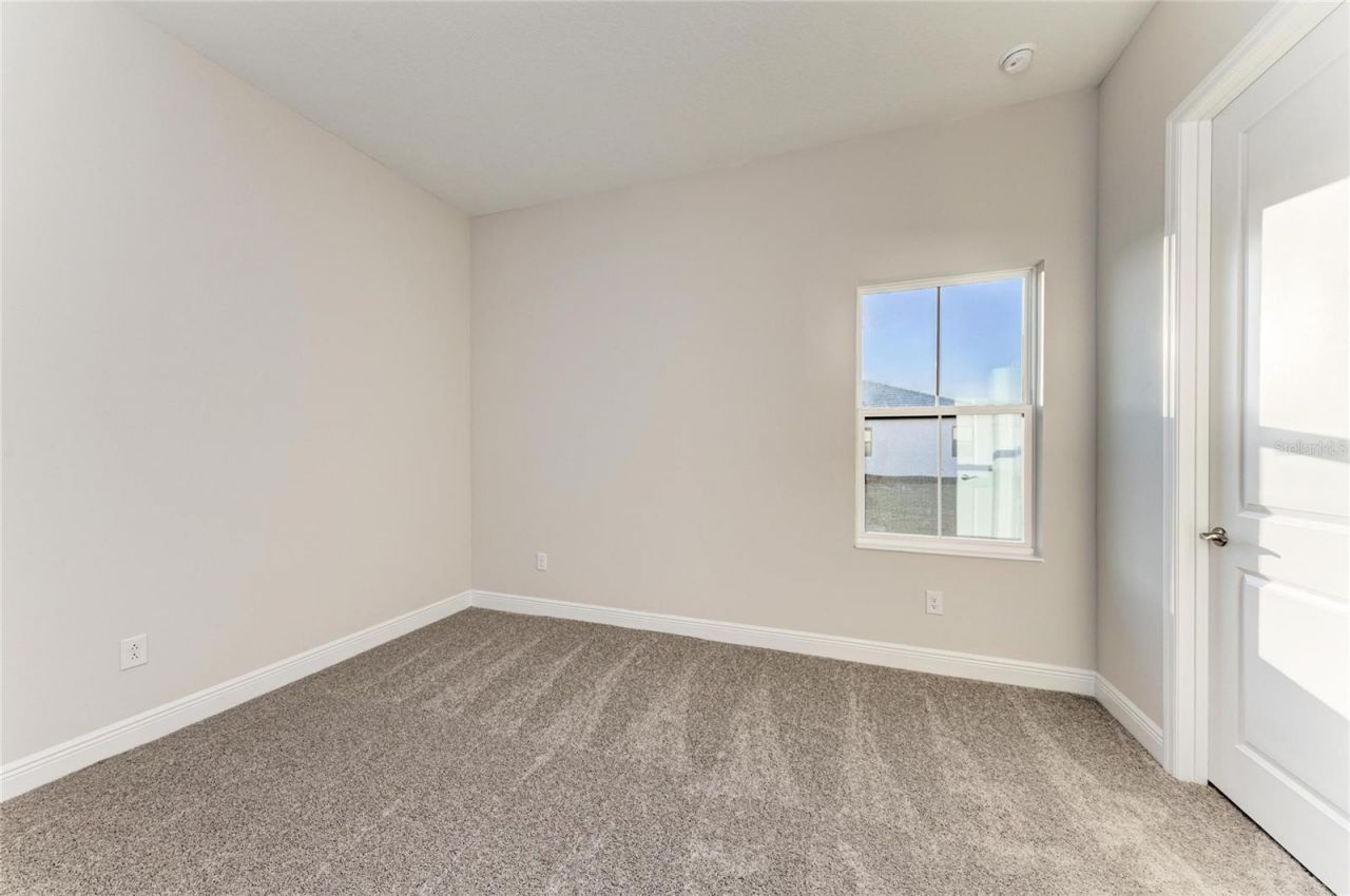 13442 Buffalo Mountain Avenue, Riverview, FL 33579 Photo