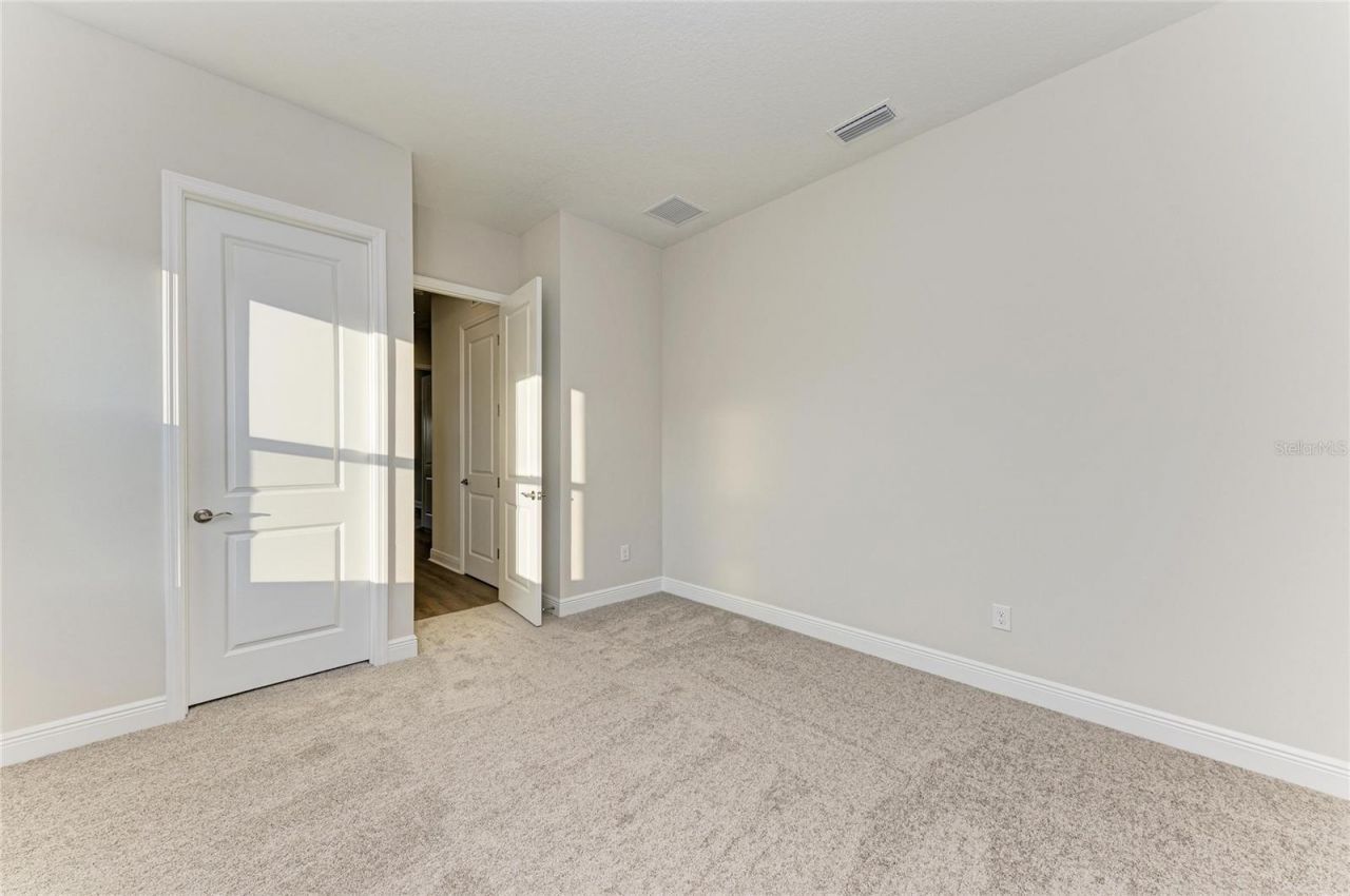 13442 Buffalo Mountain Avenue, Riverview, FL 33579 Photo