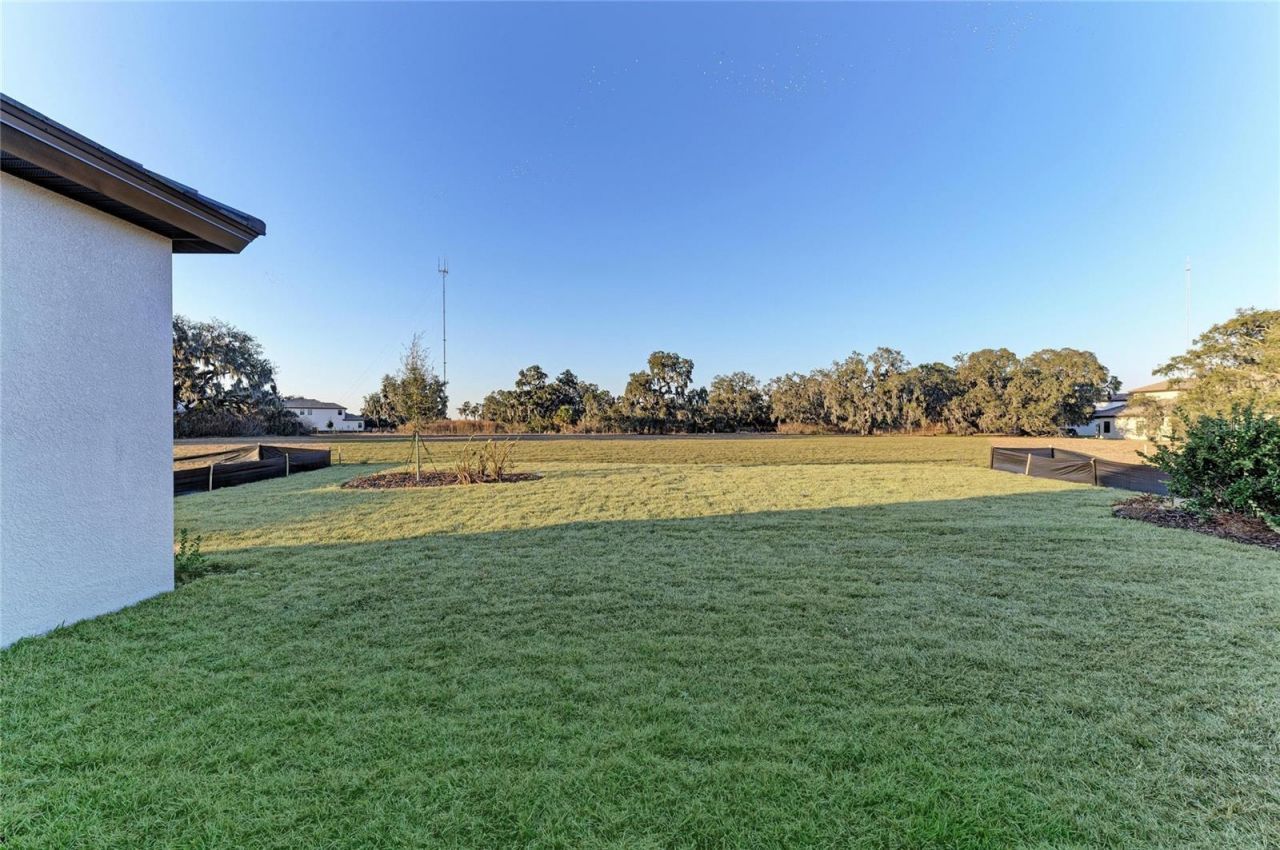 13442 Buffalo Mountain Avenue, Riverview, FL 33579 Photo