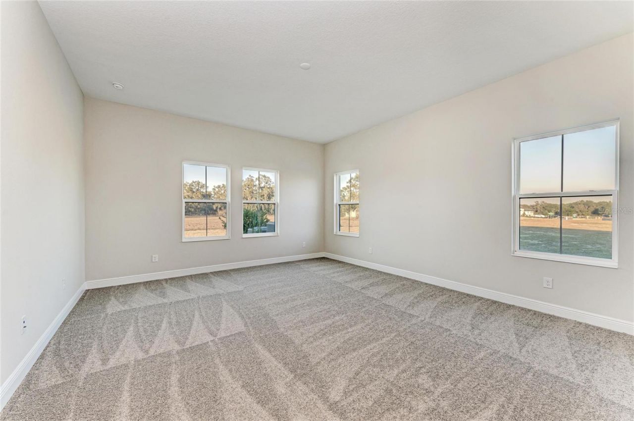 13442 Buffalo Mountain Avenue, Riverview, FL 33579 Photo