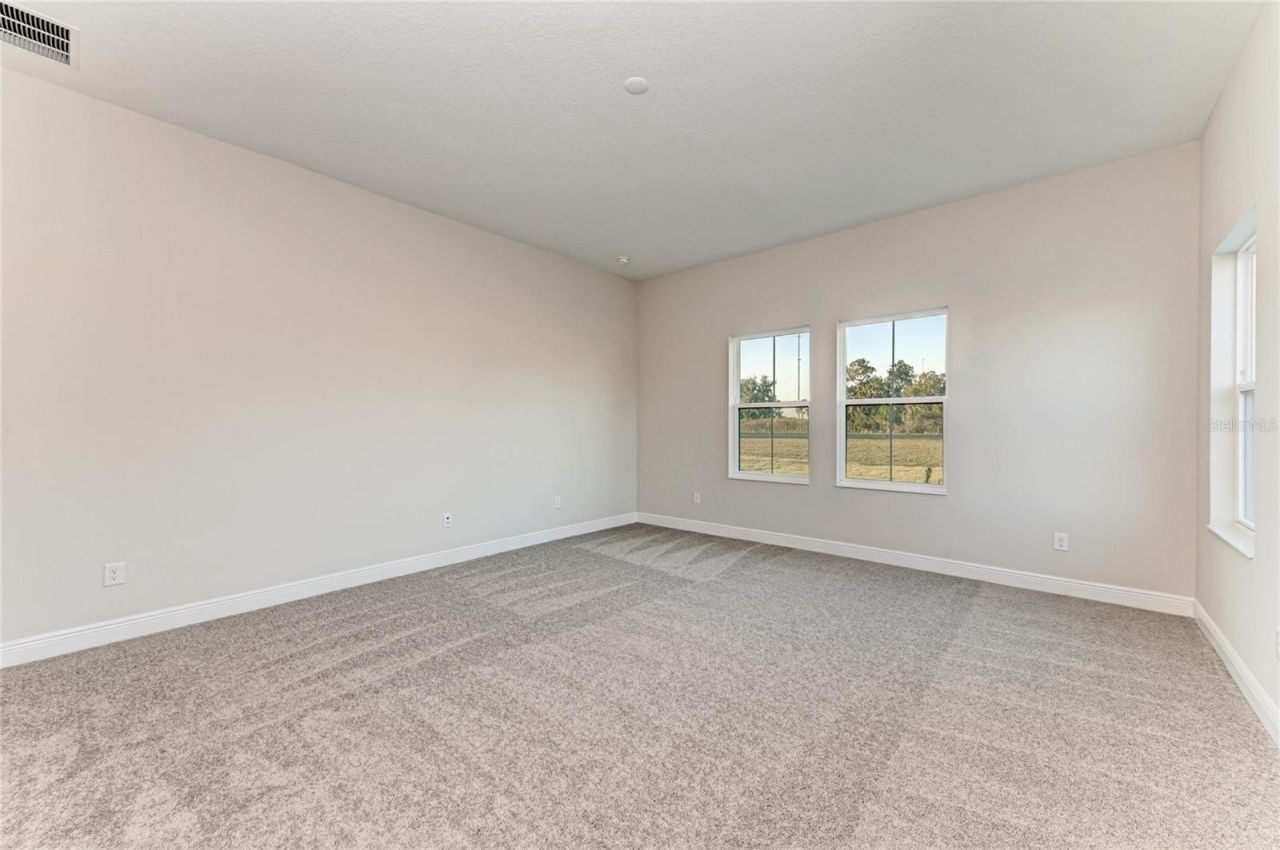 13442 Buffalo Mountain Avenue, Riverview, FL 33579 Photo