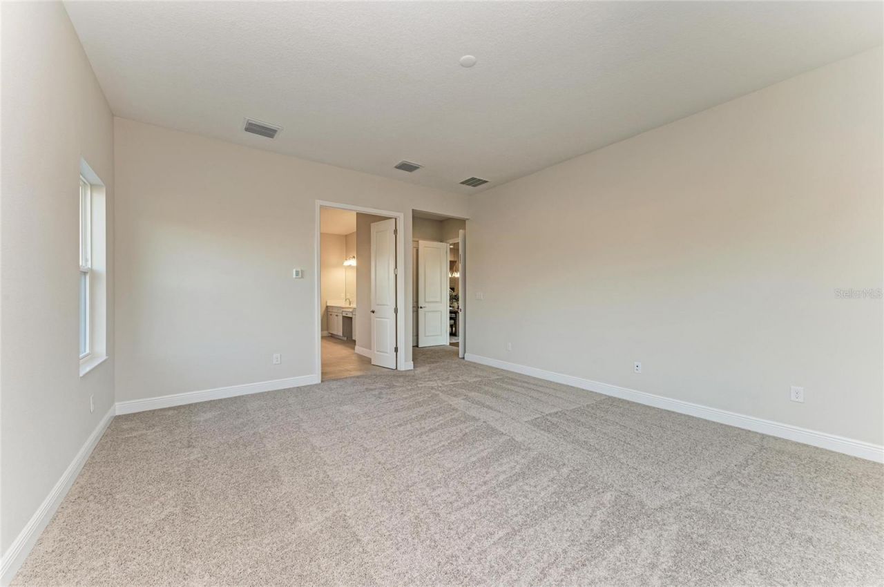 13442 Buffalo Mountain Avenue, Riverview, FL 33579 Photo