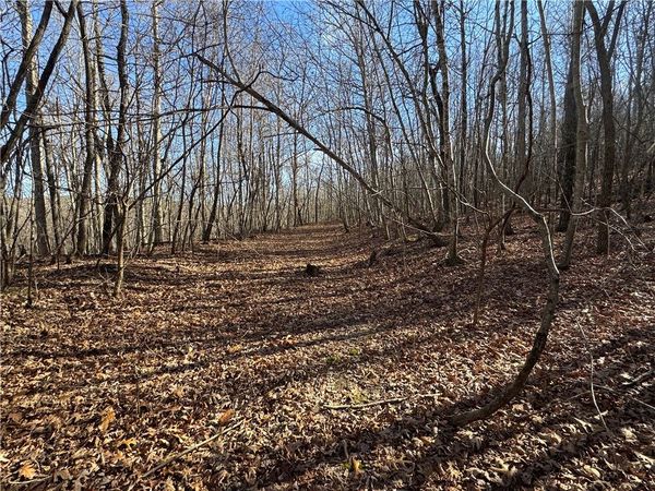 TBD 001 Plumlee Rd, Compton, AR 72611