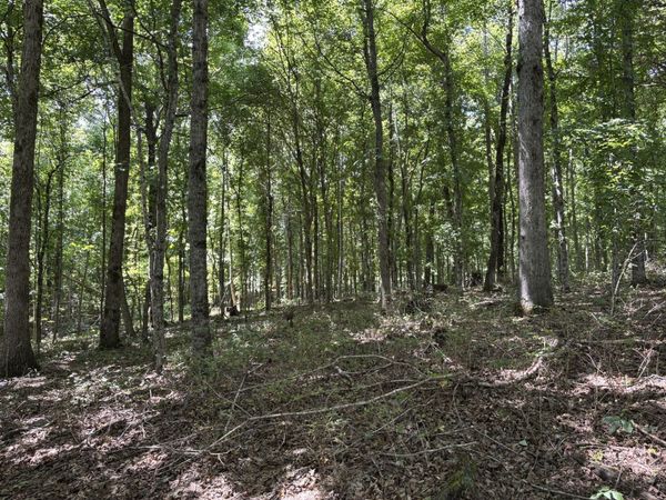 0 Middle Lick Creek Rd , Lyles, TN 37098