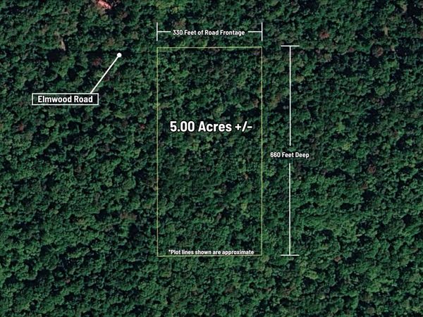 VL Elmwood Road, Newberry, MI 49868