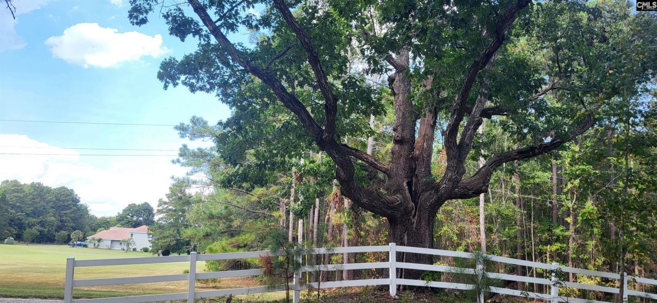 205 Sim Johnson Road Photo 24