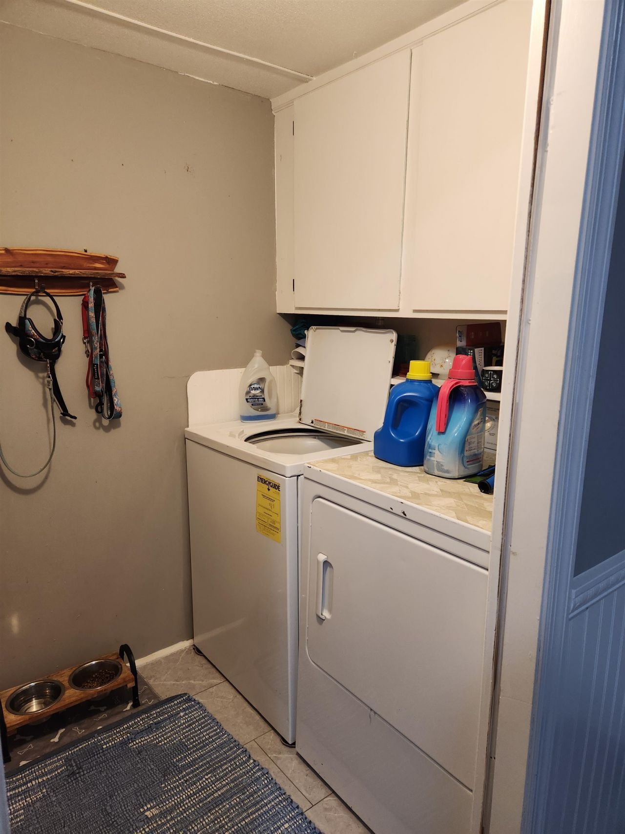 169 Crooked Island Circle  Photo 19