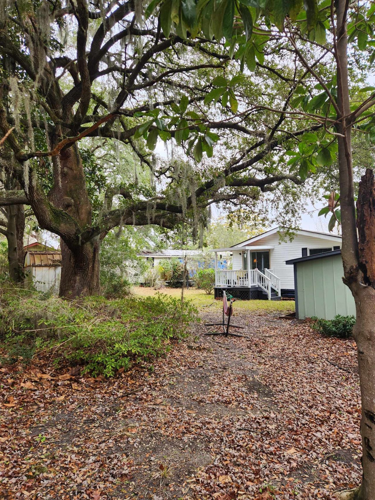 169 Crooked Island Circle  Photo 23