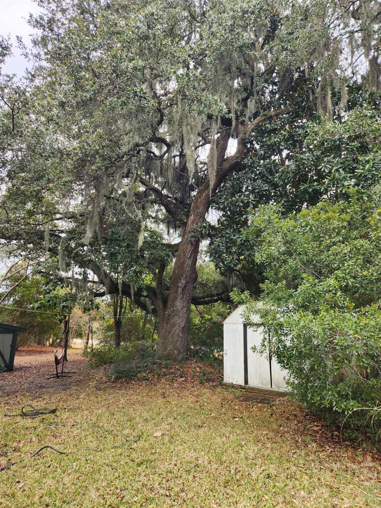 169 Crooked Island Circle  Photo 24