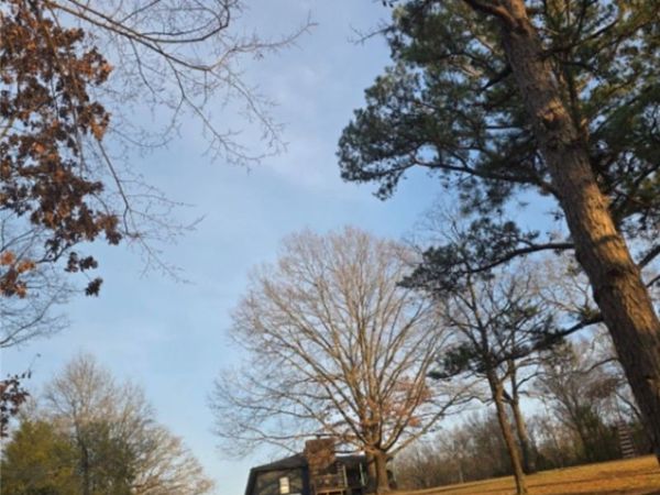 11404 Lucian Wood Road, Cedarville, AR 72932