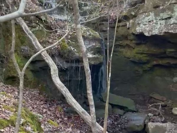 TBD 002 Plumlee Rd , Compton, AR 72611