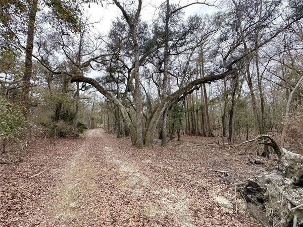 7875 SW COUNTY ROAD 344, BELL, FL 32619