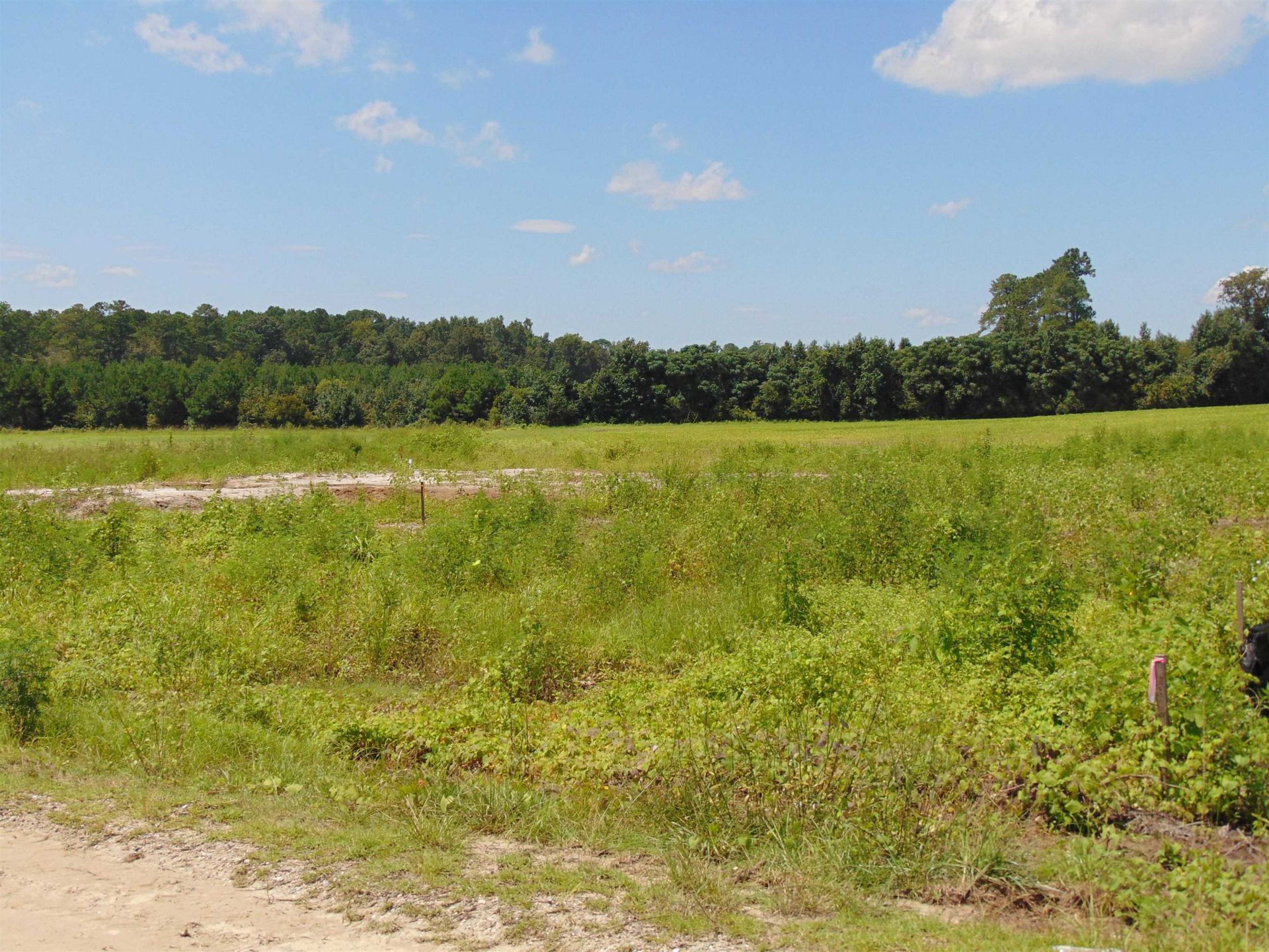 5595 Whispering Woods Rd. Photo 29