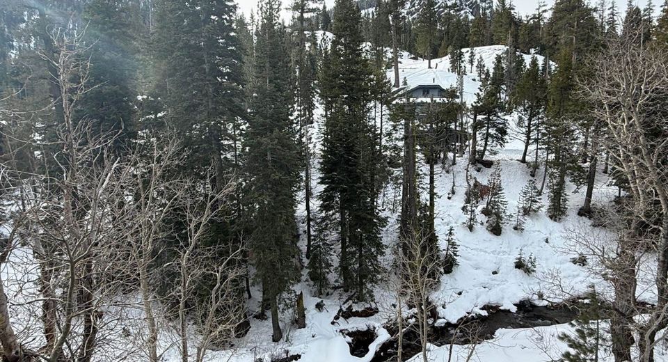 1416 Mineral Spring Trail, Alpine Meadows, CA 96146 Photo
