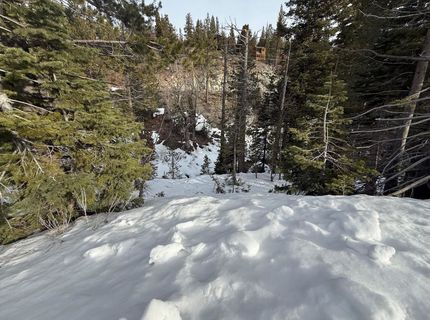 1416 Mineral Spring Trail, Alpine Meadows, CA 96146 Photo