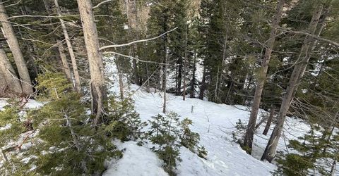 1416 Mineral Spring Trail, Alpine Meadows, CA 96146 Photo