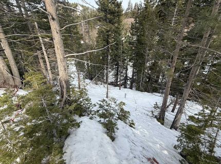 1416 Mineral Spring Trail, Alpine Meadows, CA 96146 Photo