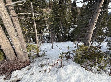 1416 Mineral Spring Trail, Alpine Meadows, CA 96146 Photo