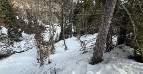 1416 Mineral Spring Trail, Alpine Meadows, CA 96146 Photo