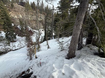 1416 Mineral Spring Trail, Alpine Meadows, CA 96146 Photo