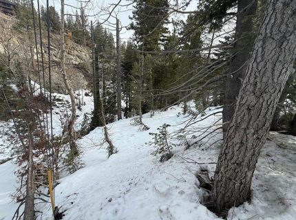 1416 Mineral Spring Trail, Alpine Meadows, CA 96146 Photo