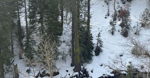 1416 Mineral Spring Trail, Alpine Meadows, CA 96146 Photo