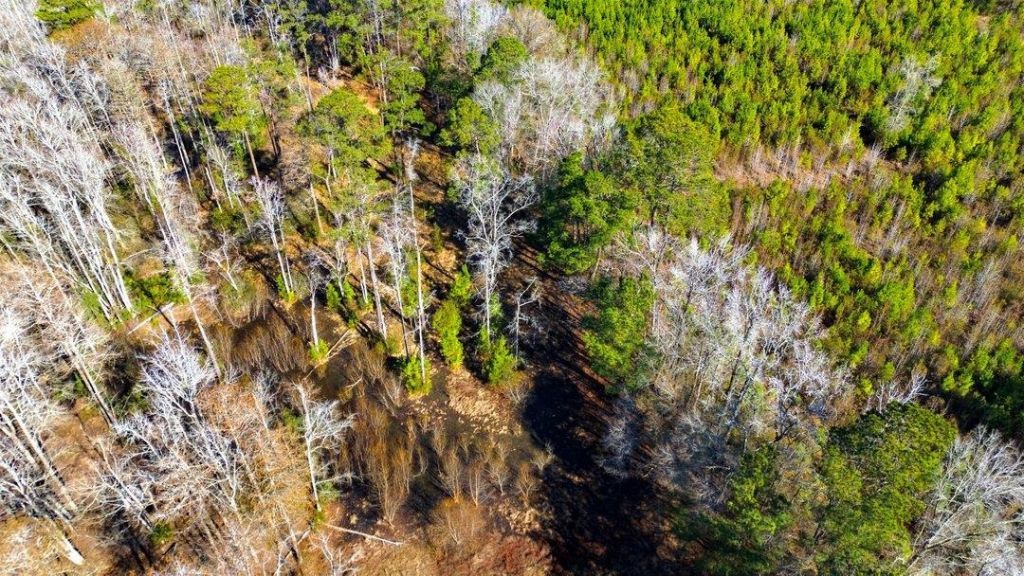 1850 Pitch Landing Rd. Photo 54