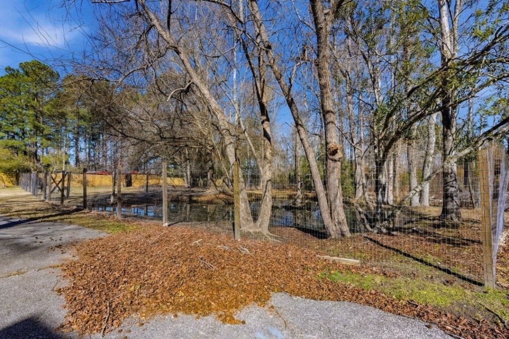 1850 Pitch Landing Rd. Photo 16