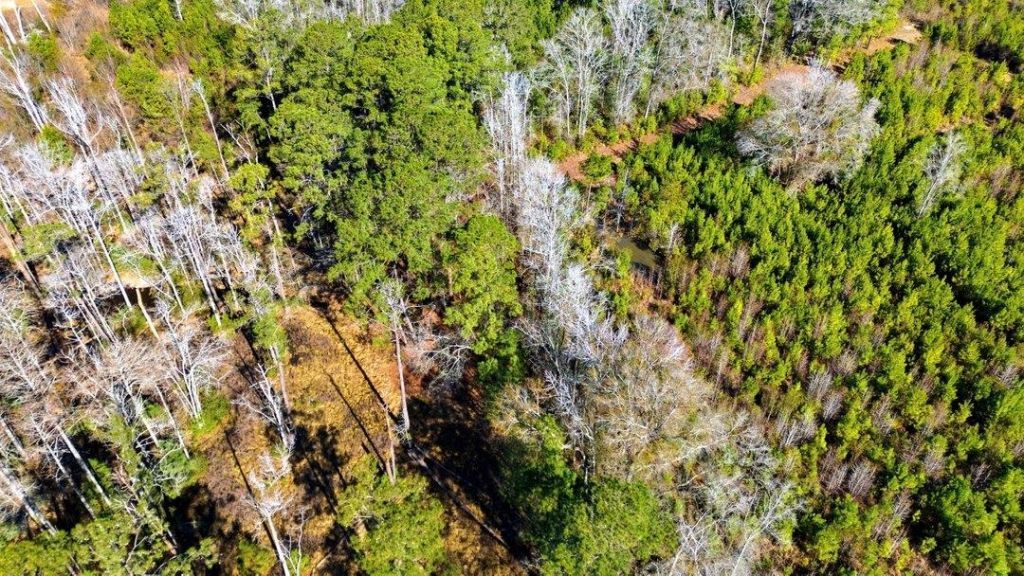 1850 Pitch Landing Rd. Photo 69