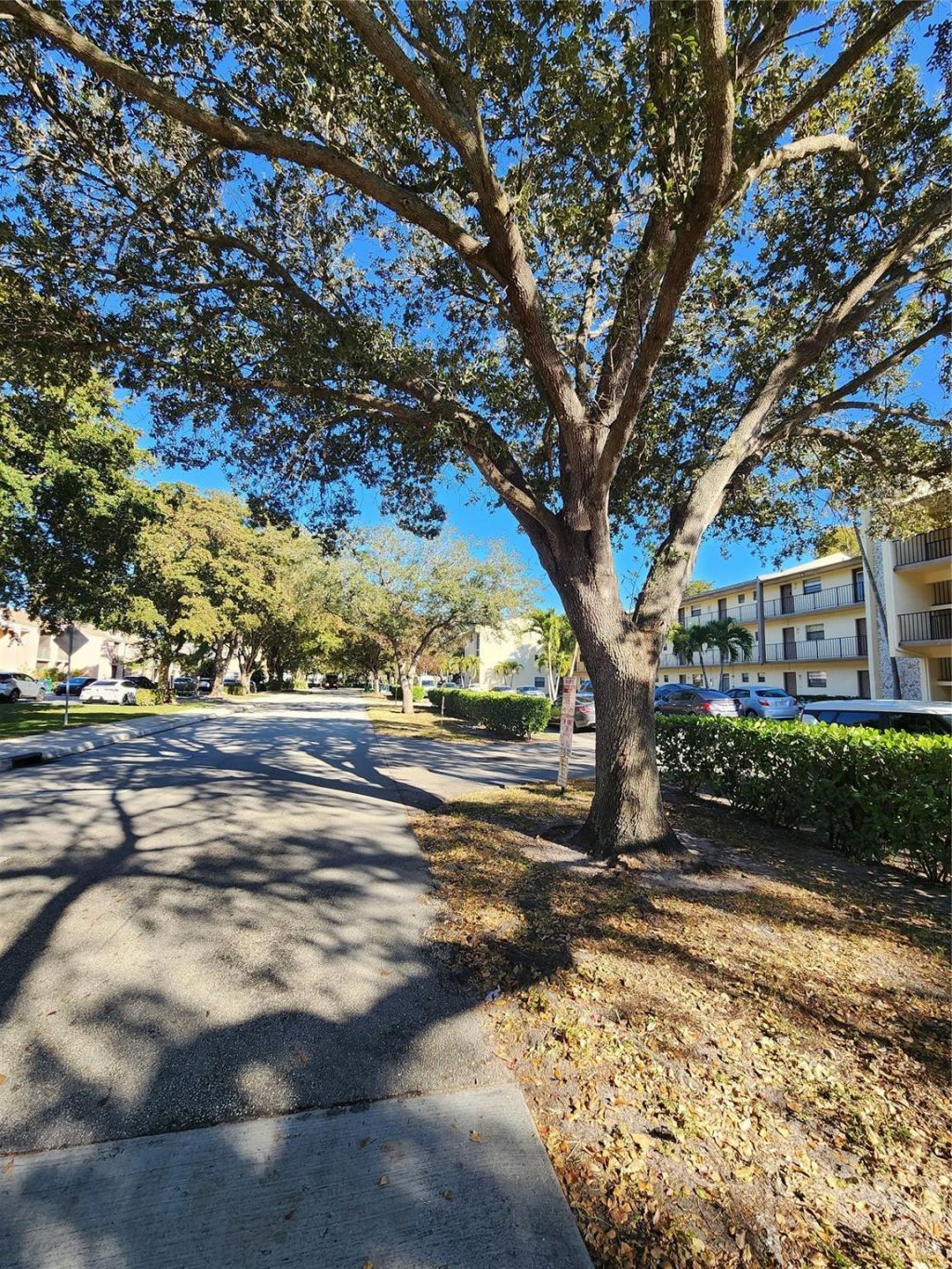 9150 NW 38th Drive, Unit 106, Coral Springs, FL 33065 Photo