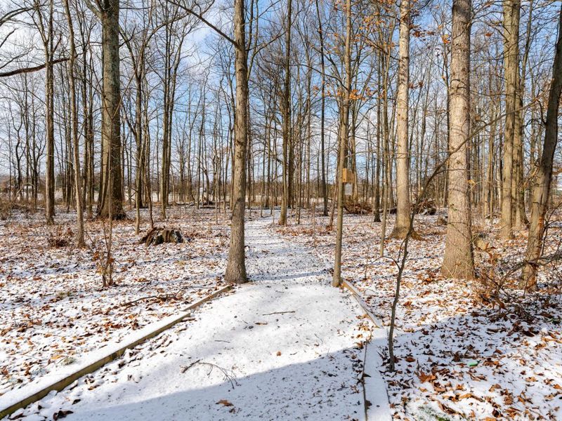 4959 Smothers Road, Westerville, OH 43081 Photo 18