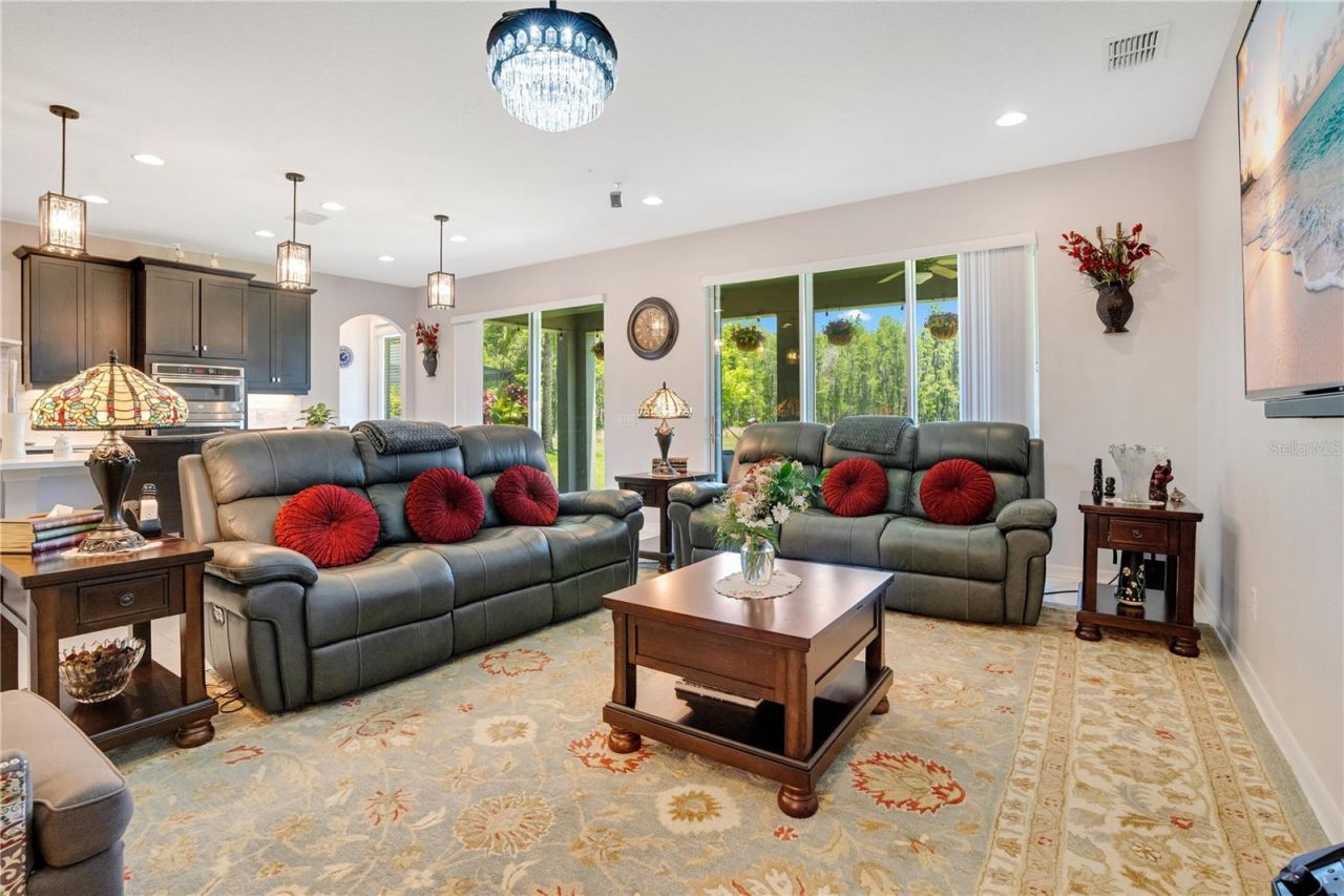 19335 Eagle Creek Lane, Tampa, FL 33647 Photo